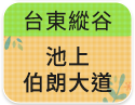 台東縱谷-池上伯朗大道